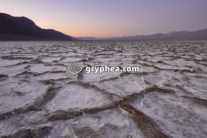 Salt desert Death Valley NP - gryphea.com